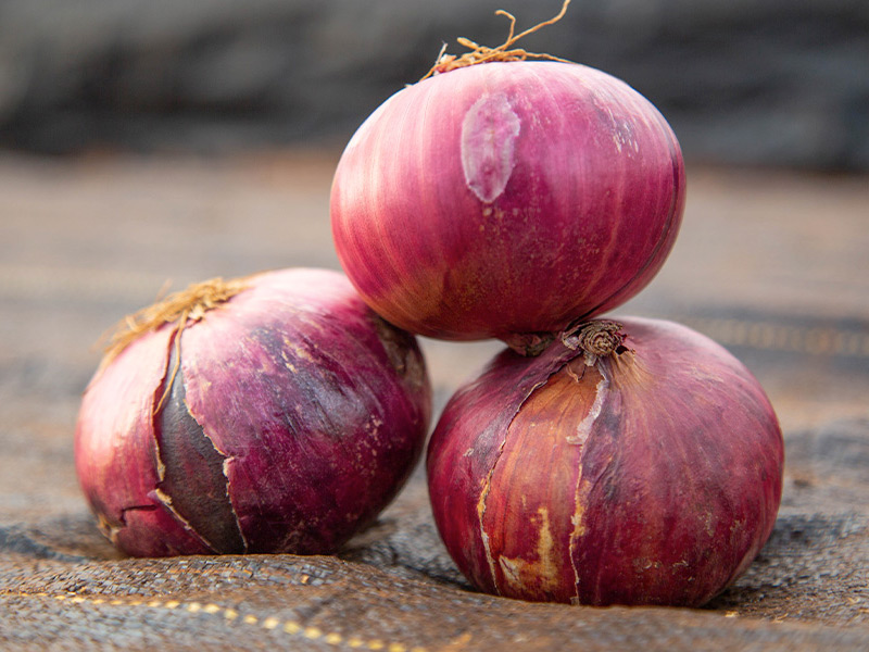 RED CORNET F1 Hybrid Onion