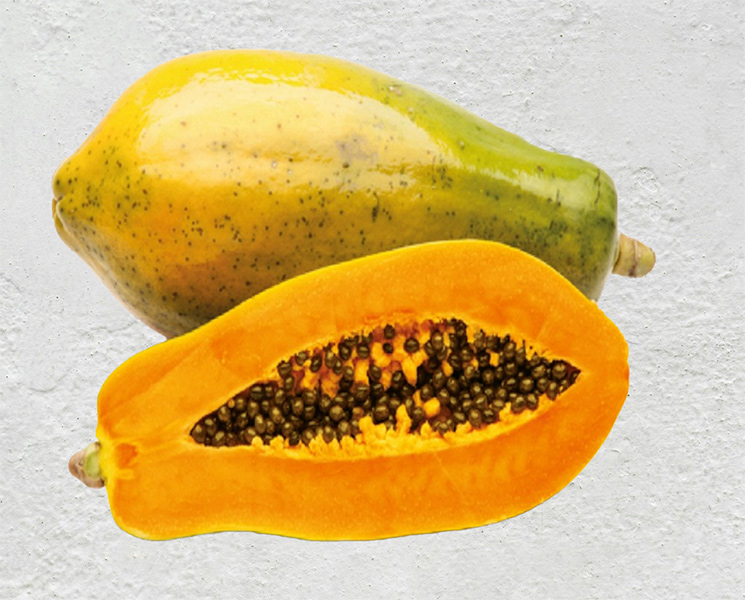 Early maturing and high yielding hermaphrodite dwarf hybrid papaya with compact growth habit and a strong fruity floral aroma.