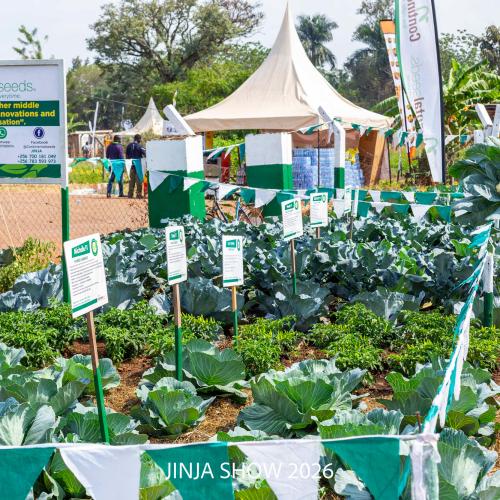 32nd National Agricultural Show 2026 – Jinja, Uganda