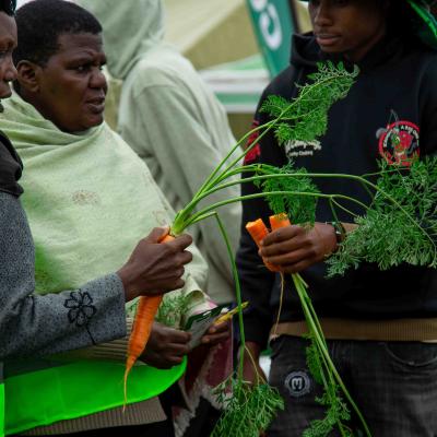 ANTLANTA CS Carrot Demo