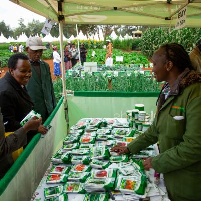 Farmers sampling various hybrid seeds during Wambugu ATC Field Day