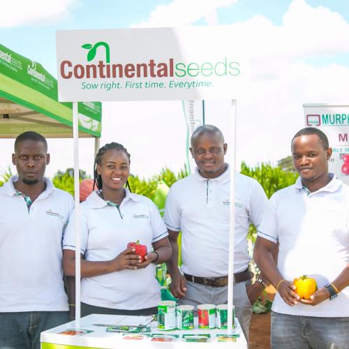 Ea9a8999