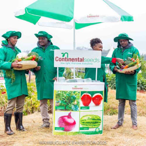 Sample products from the demo plots