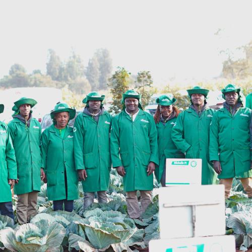 A team of Agronomists from Continental Seeds 